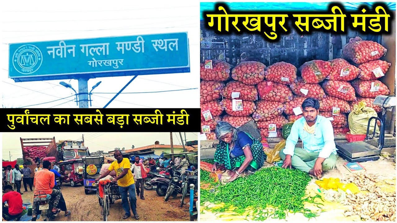 Sabji Mandi Gorakhpur | Gorakhpur Mandi | Sabji Galla gorakhpur |