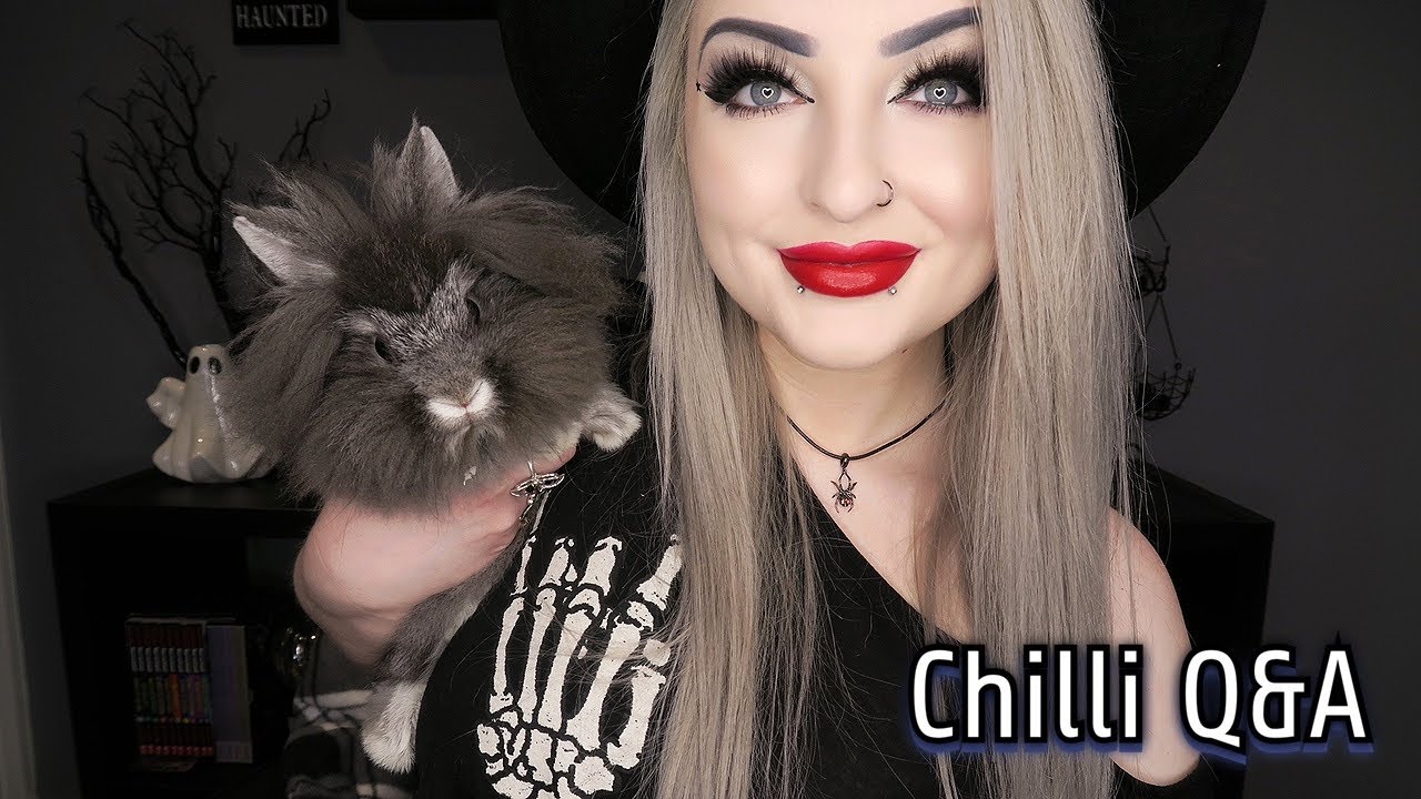 My Pet Lionhead Rabbit Chilli Q&A - Bunny Questions! Lunalily