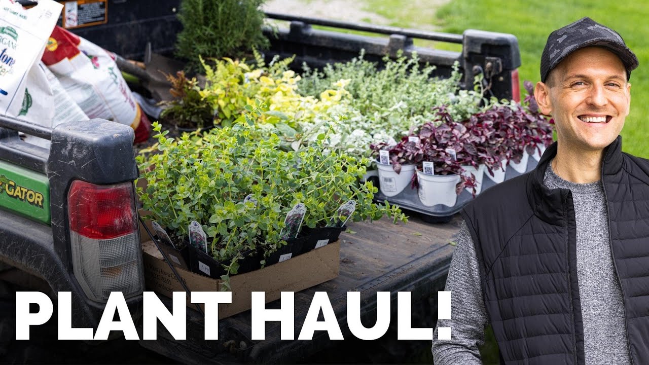 My Spring Plant Haul + Planting My Front Porch Hanging Pots | Gardening with Wyse Guide
