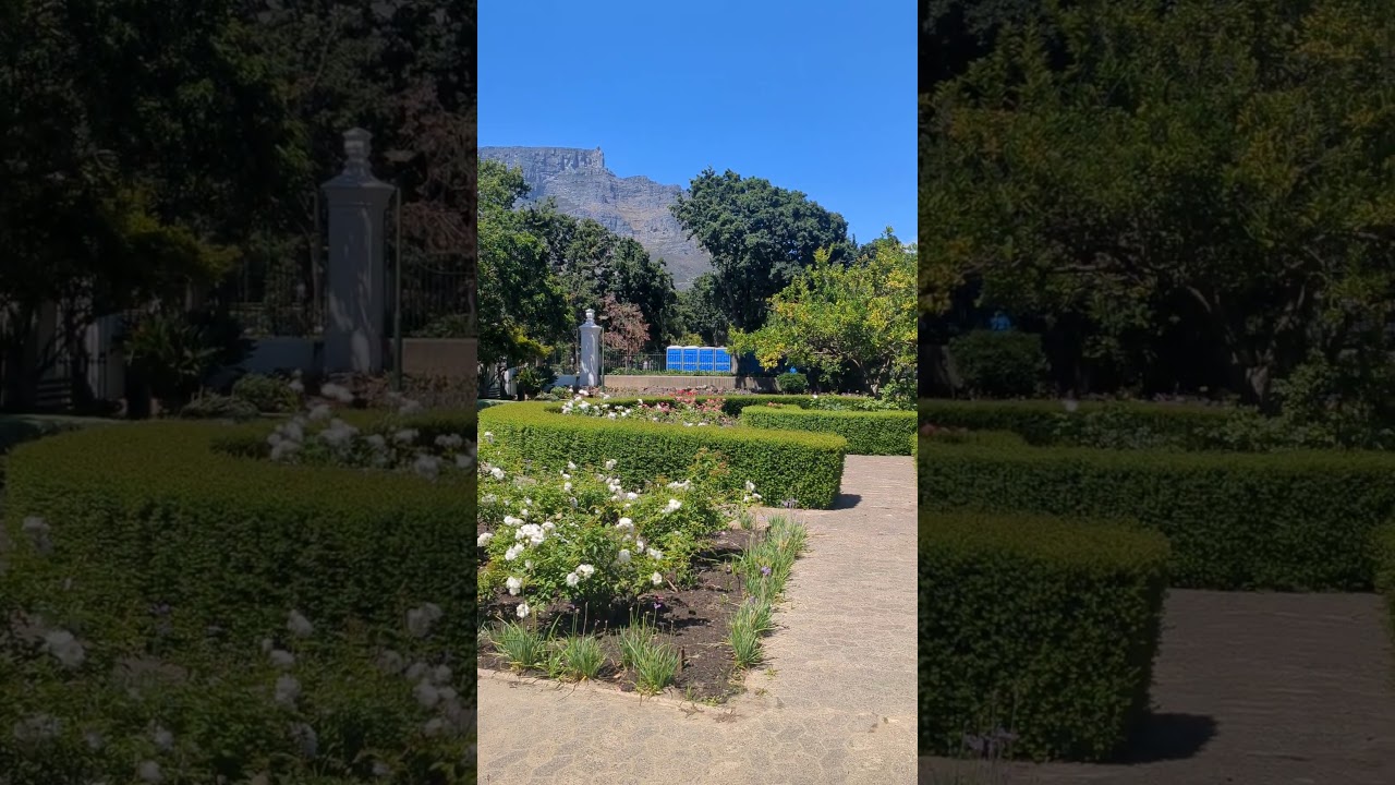 Gardens in Cape Town #garden #gardens #park #capetown #southafrica