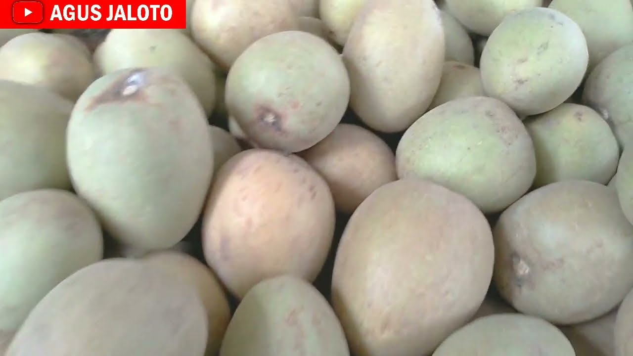 Harga Buah Sawo Terbaru Di Lapak Buah Pinggir Jalan