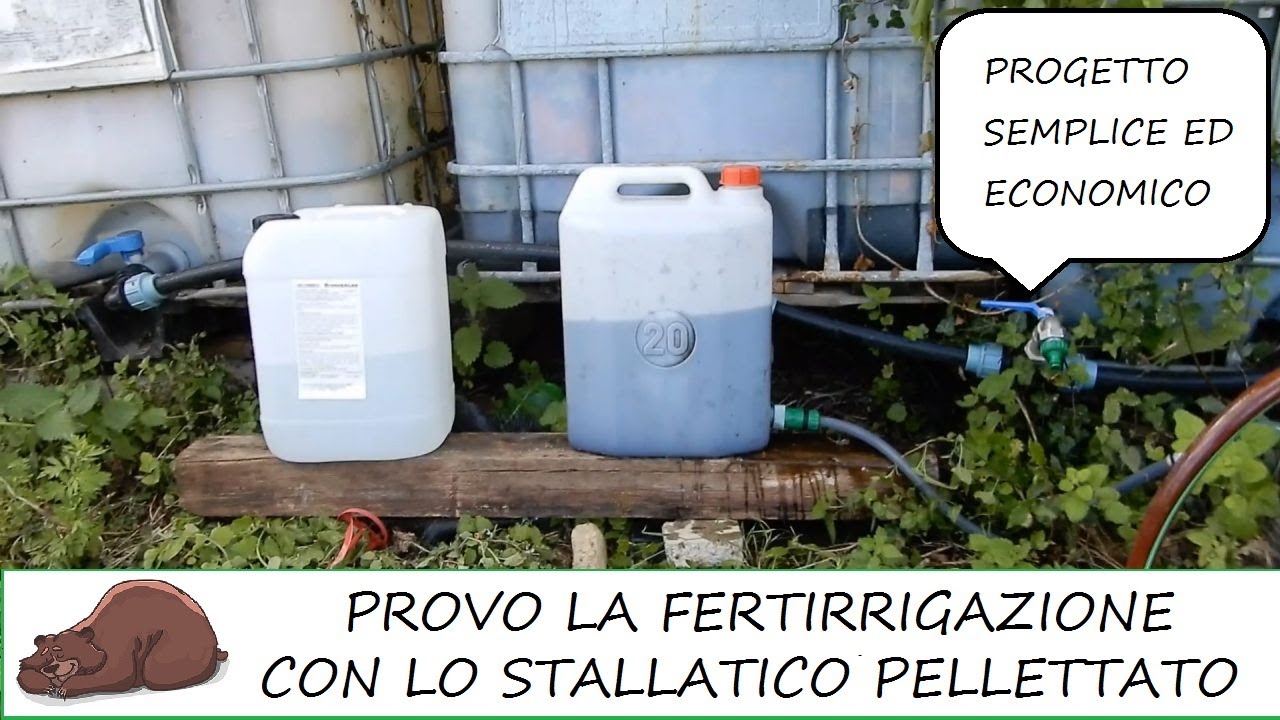 Fertirrigazione di pomodori, melanzane e peperoni con l'impianto a goccia!