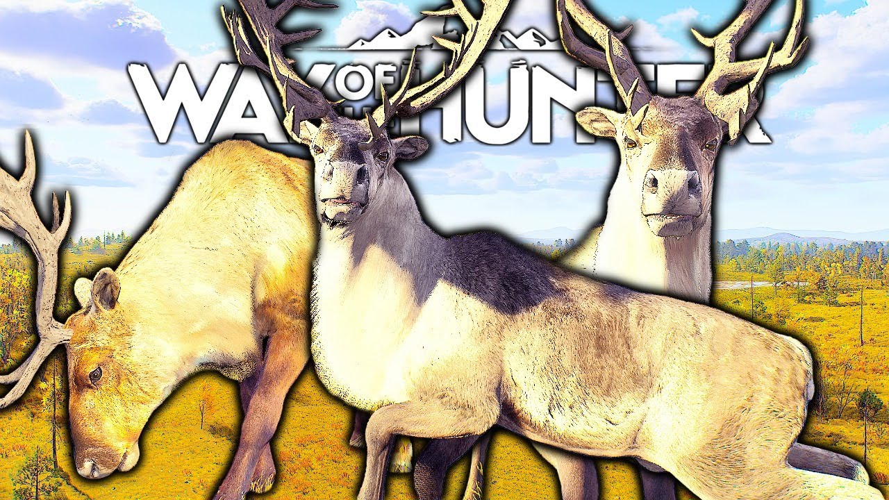 Five Star Mountain Reindeer (Struggle) Hunt | Way of the Hunter
