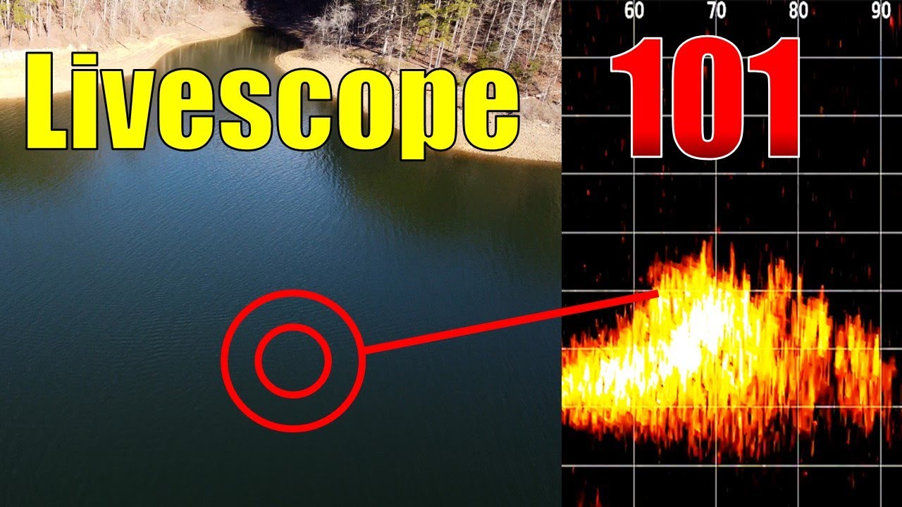 Perfecting Forward Facing Sonar for Bass Fishing