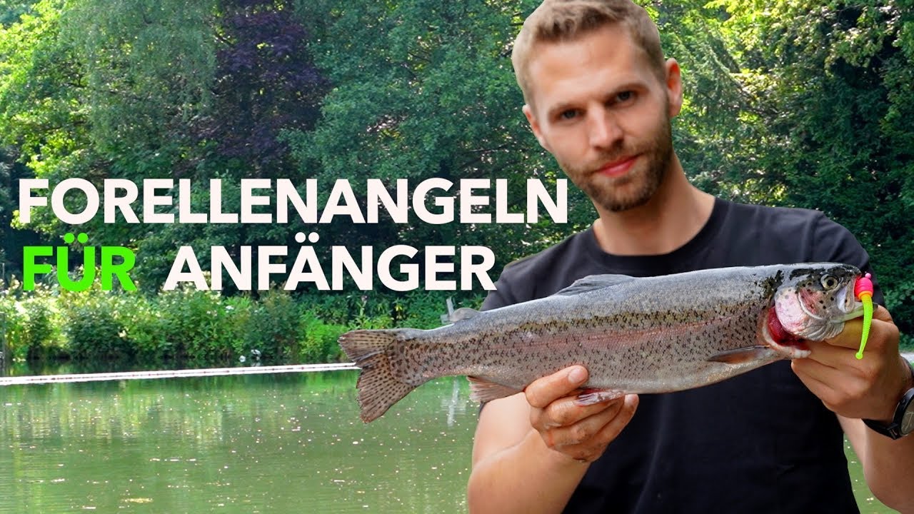 FORELLENANGELN f&uuml;r EINSTEIGER - Meine Taktik f&uuml;r den FORELLENSEE | Fishing-King.de
