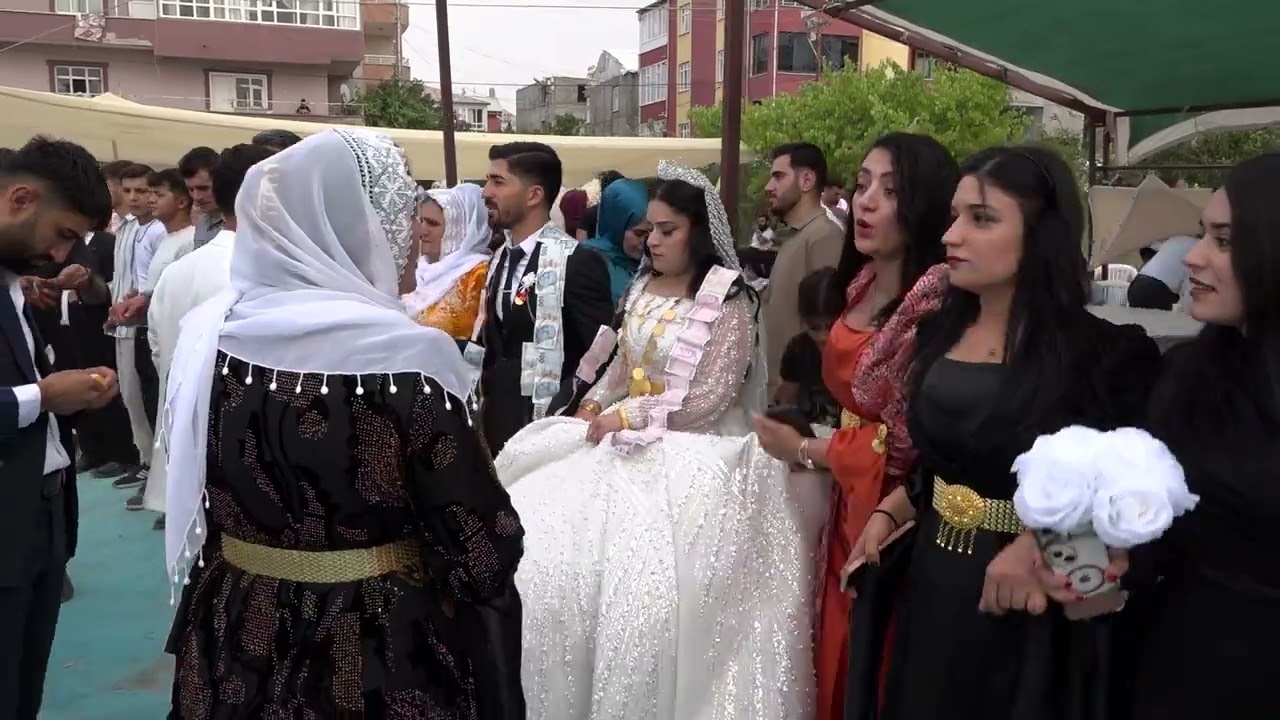 Xelilan Aşireti Kibar & Turan Çiftimizin Düğün Töreni Part 5 ( Tuci Video Fotografçılık