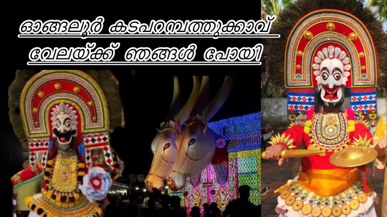 പൂരം കാണാൻ പോയി മഴയും കൊണ്ട് പോന്നു🤗🥰😍❤️#viralvideo #familychannel #malayalamvlog #pooram2026 