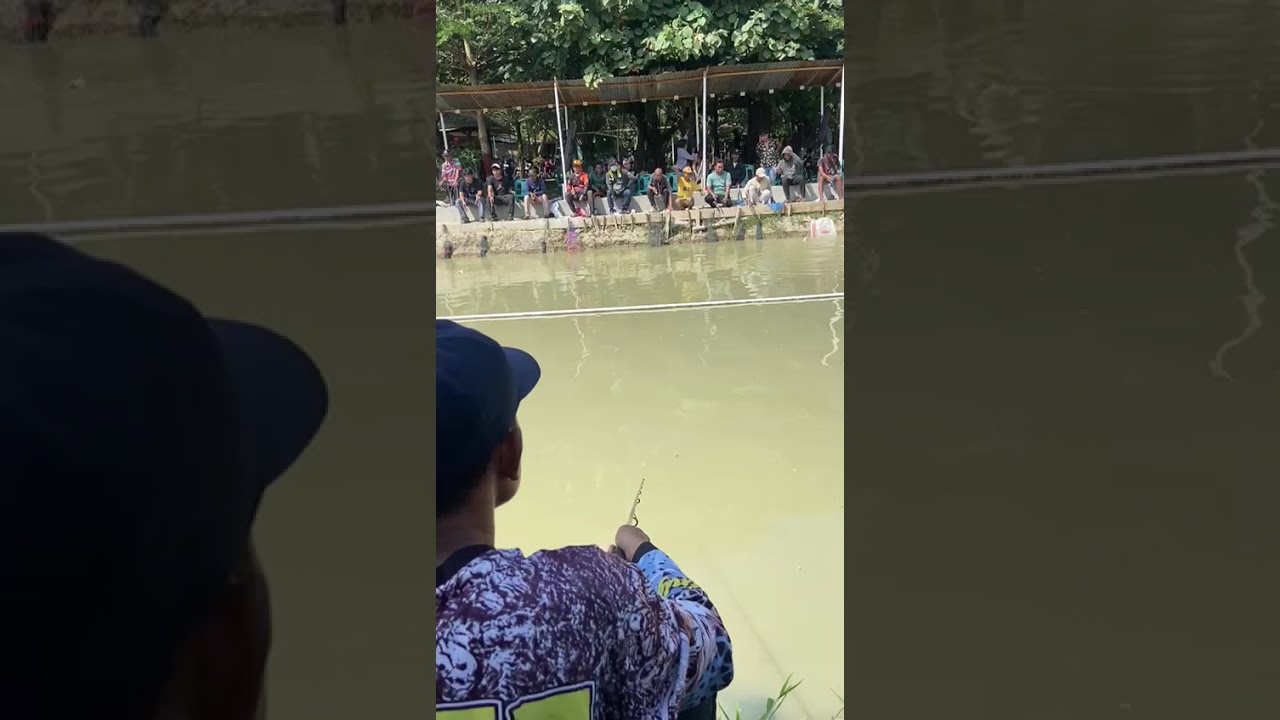 Di vidio kali ini hanya melihat tetangga streek , semoga event lain waktu ada cintanya  