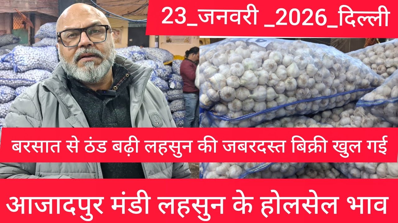 23 January 2026 दिल्ली 🧄 लहसुन के भाव Azadpur delhi mandi today garlic market price #garlicmarket