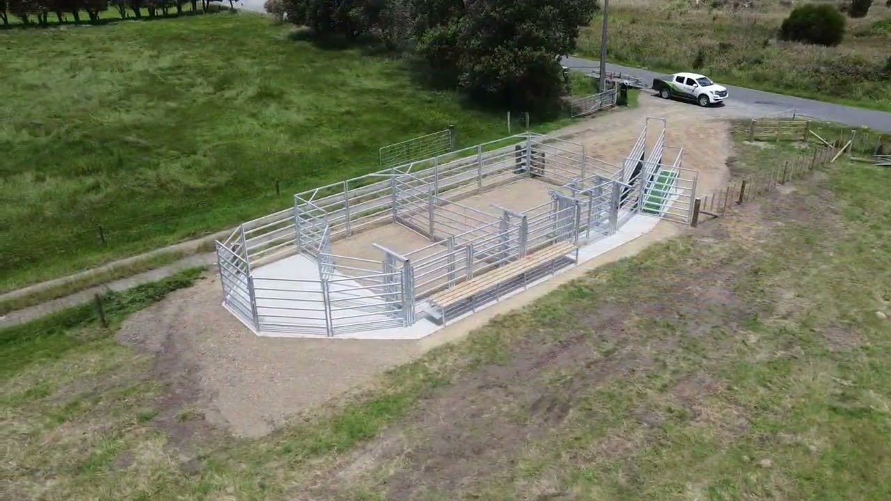 Quality NZ made Cattle Yards - Kiwi Cattle Yards