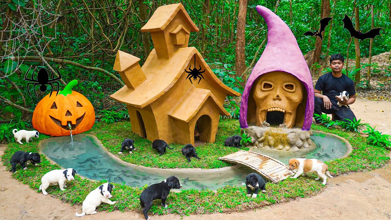 Building a Spooky Pumpkin House for Puppies | Halloween Special!