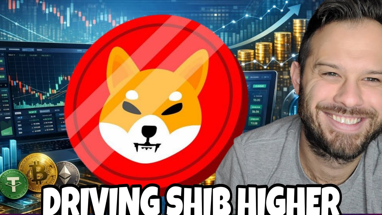 Shiba Inu Coin | Последние новости о законе Clarity Act отправляют криптовалюту и SHIB в космос!