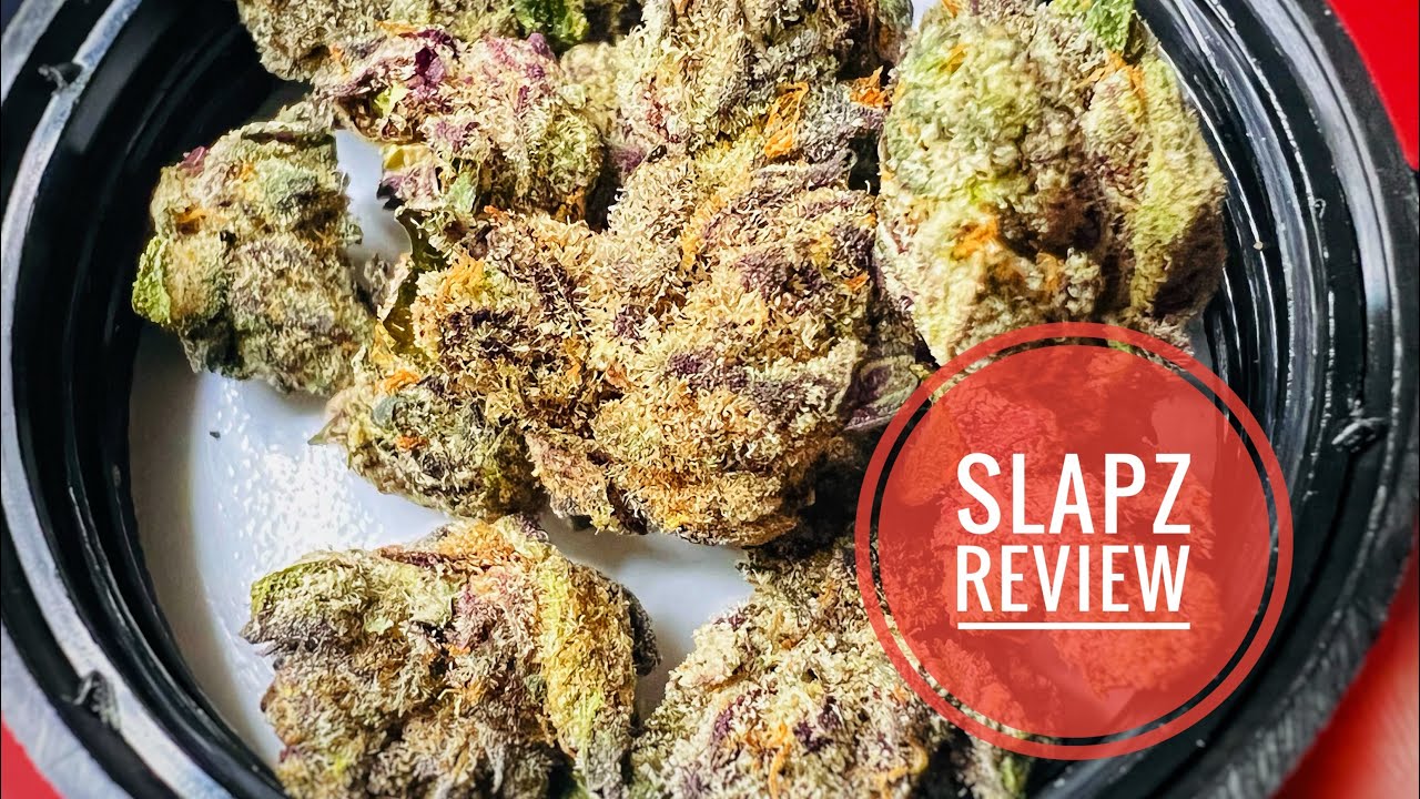 Slapz Strain Review