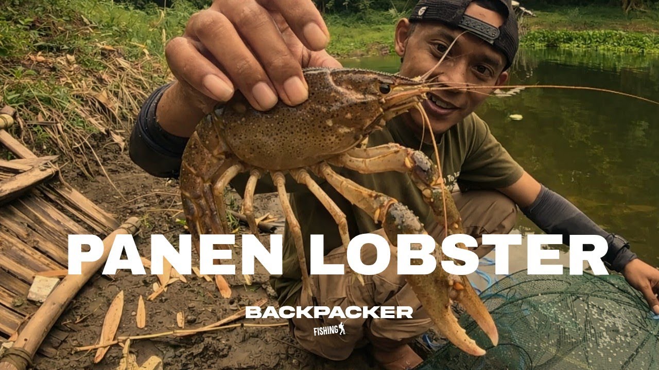 Fishing Survival -  Belajar bertahan hidup di Alam demi menghadapi perang Dunia 3