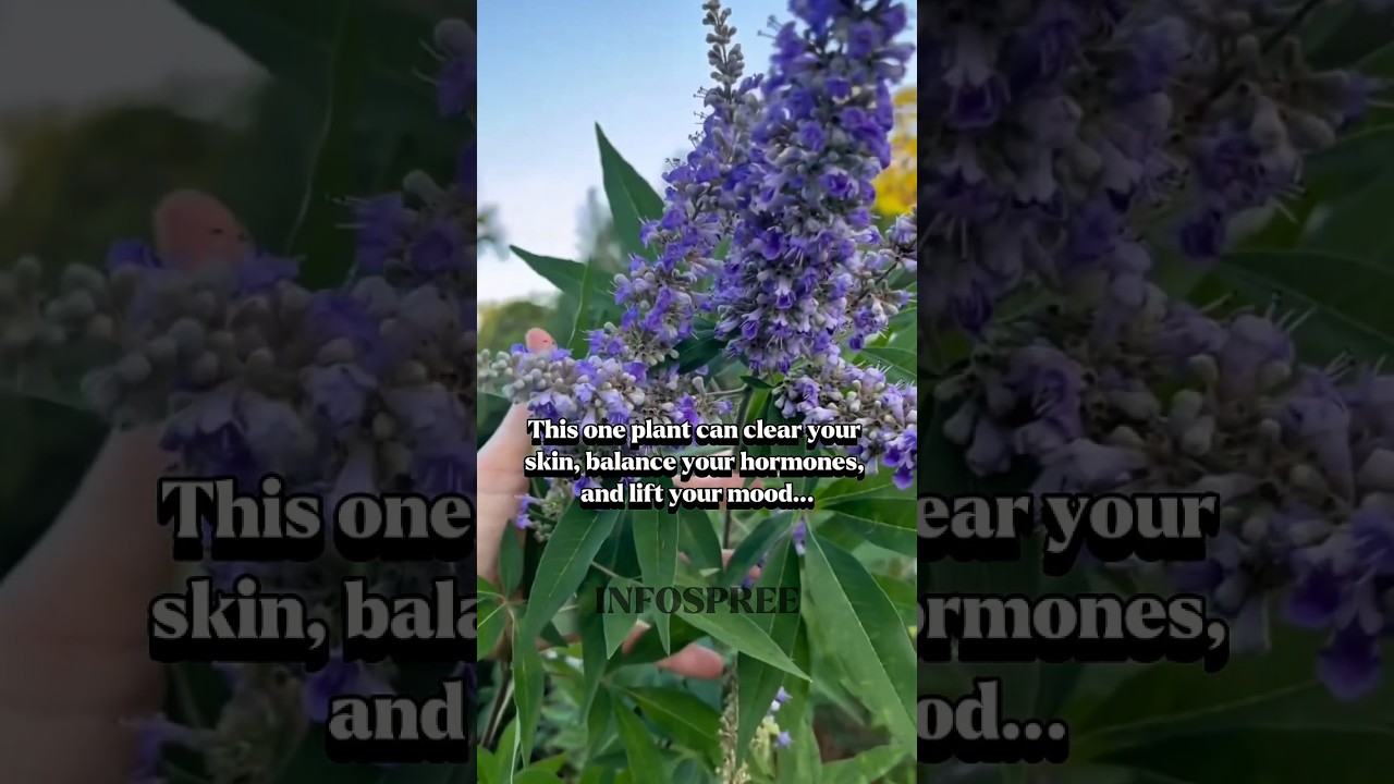 This One Plant Heals Acne, Balances Hormones & Boosts Mood &ndash; And You&rsquo;ve Walked Right Past It!