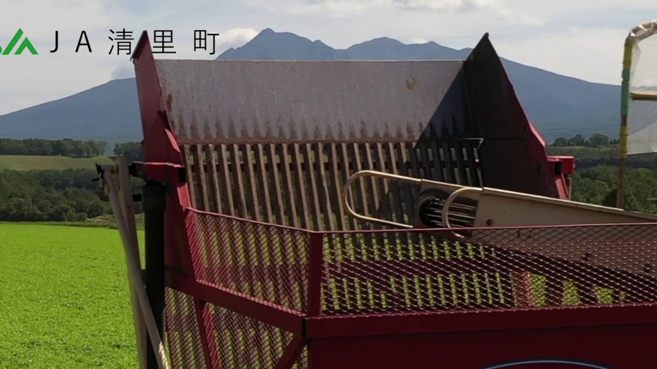 清里町　馬鈴しょ
