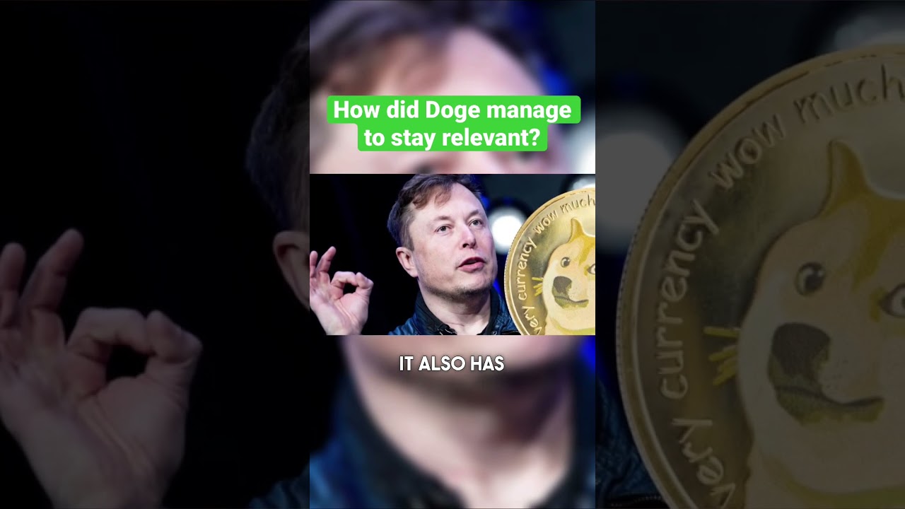 How did Doge manage to stay relevant?