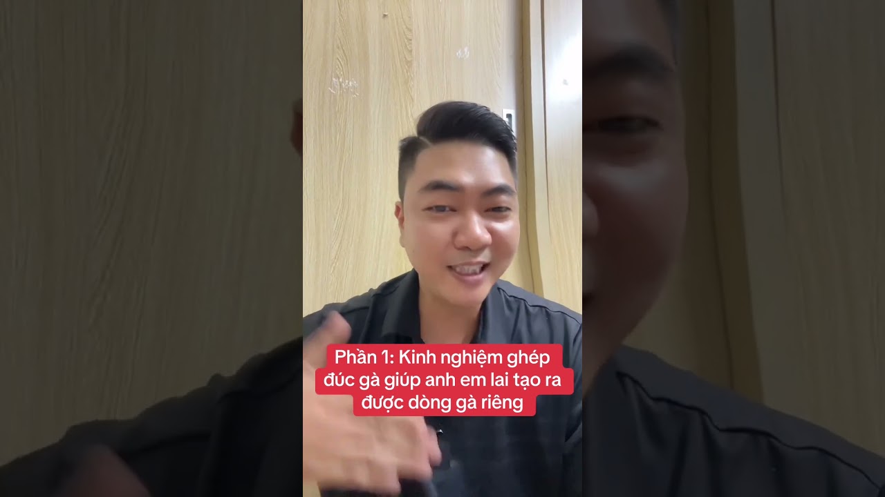 Chia sẻ của Tuấn Hà Đông về cách ghép đúc gà giúp anh em có thể lai tạo được dòng gà riêng.