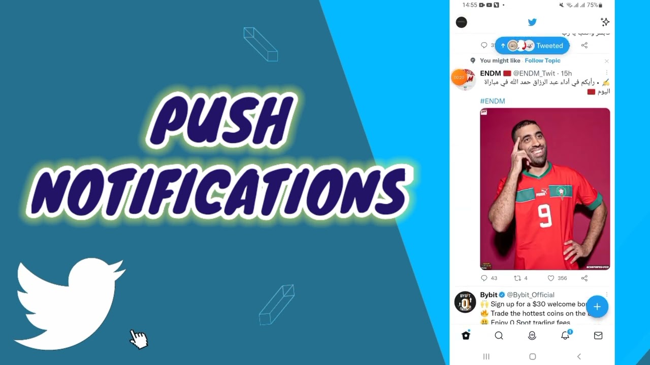 How To Push Notifications On TWITTER