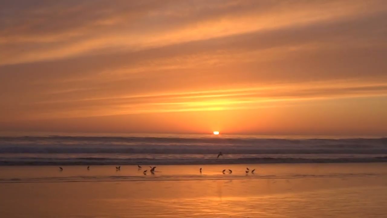 Tuning with the starkey