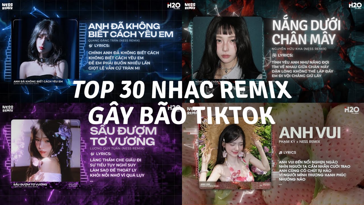 TOP 30 Nhạc Remix Gây Bão TikTok: Anh Đã Không Biết Cách Yêu Em, Nắng Dưới Chân Mây, Anh Vui...