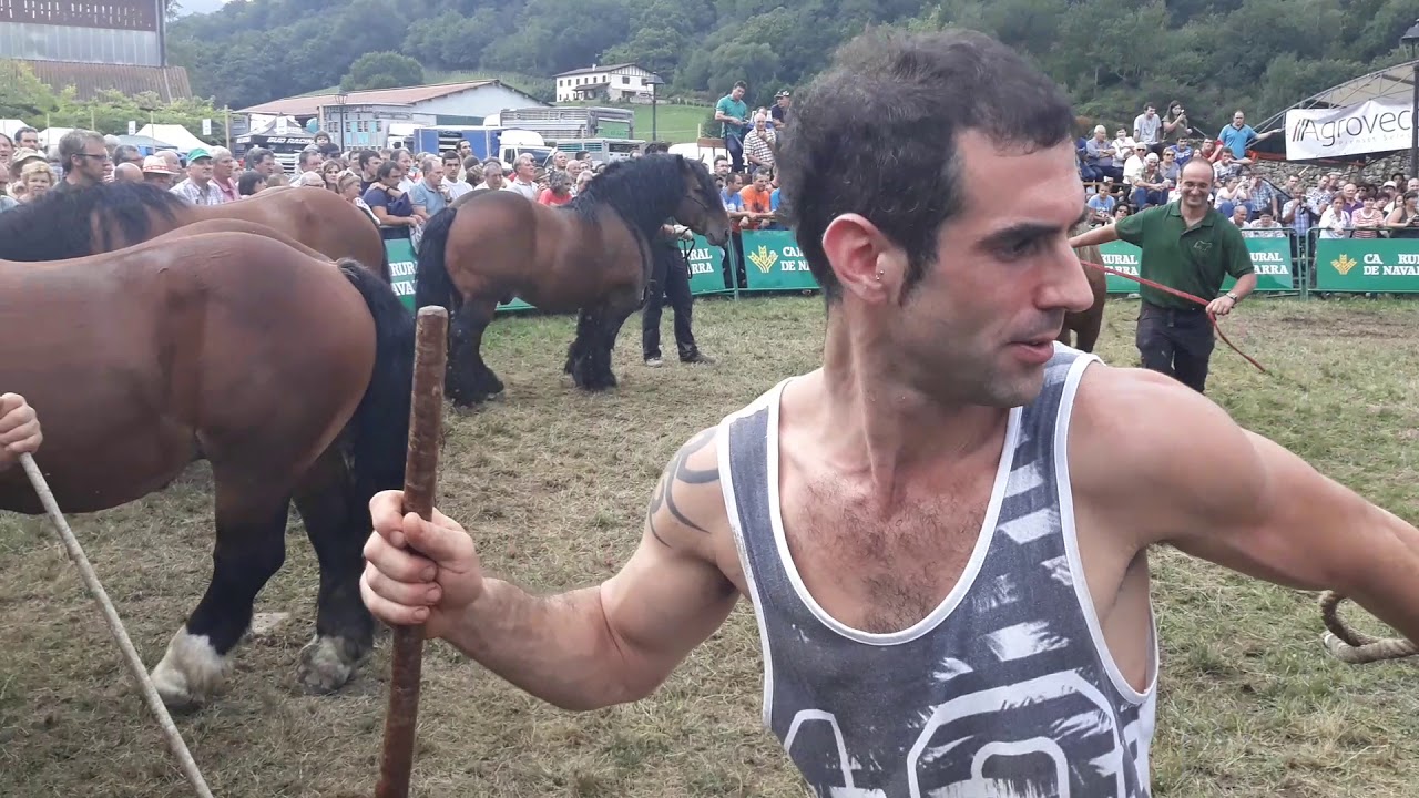 Urdax 2018