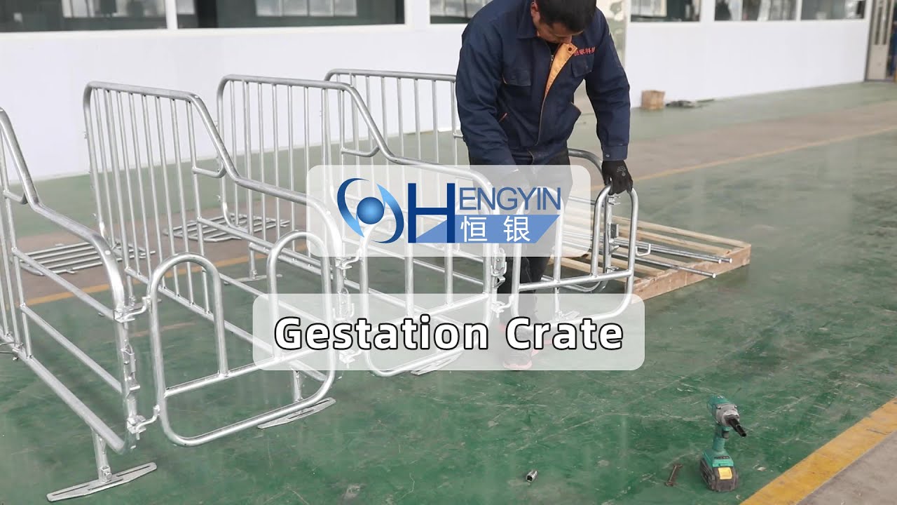 Pig farm gestation crate installation step decomposition - Hengyin