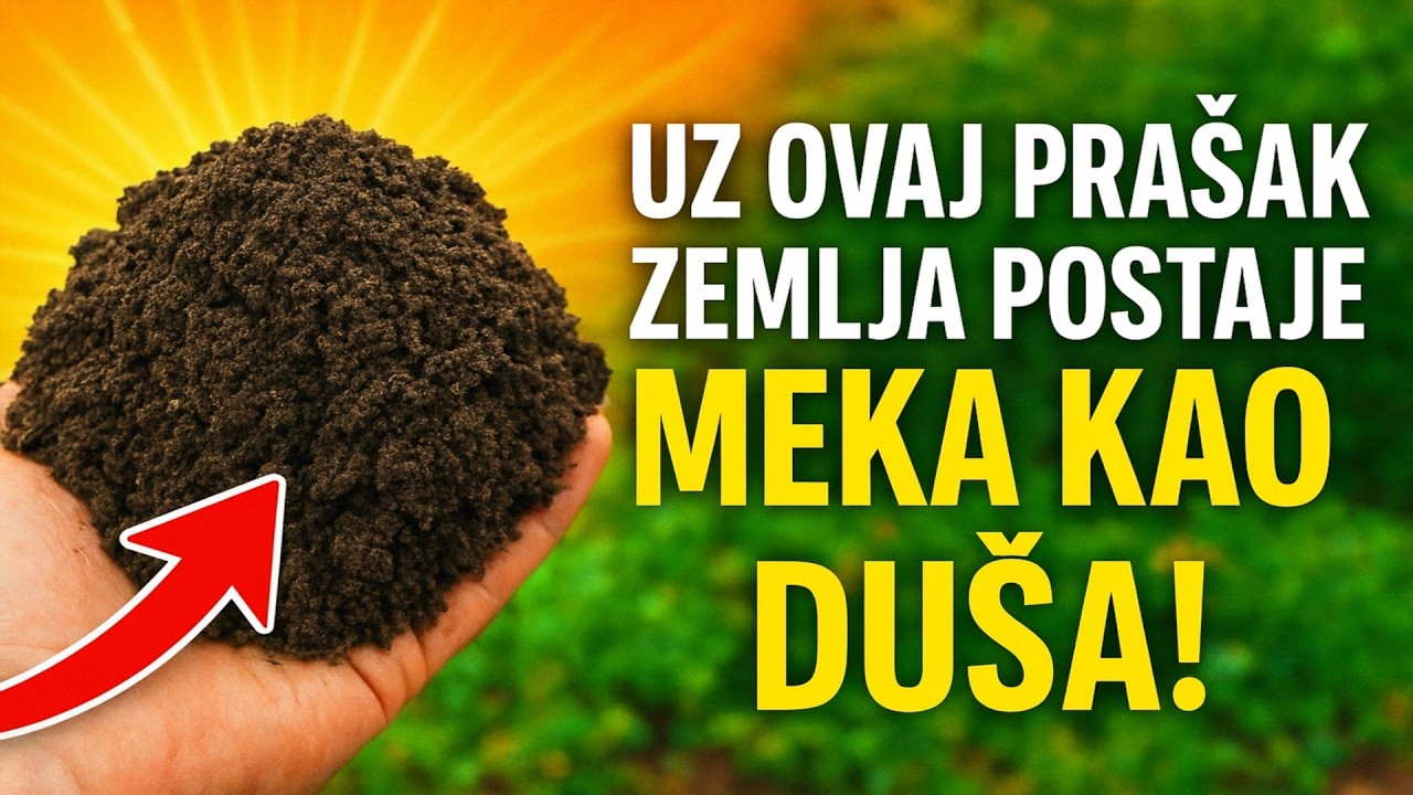VRTNA TAJNA: Uz ovaj prašak, zemlja postaje meka kao DUŠA! 🤯 Lopata vam više NE TREBA.