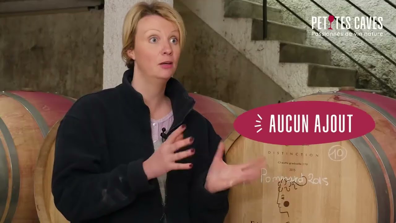 TOUT SAVOIR SUR LE VIN NATURE !