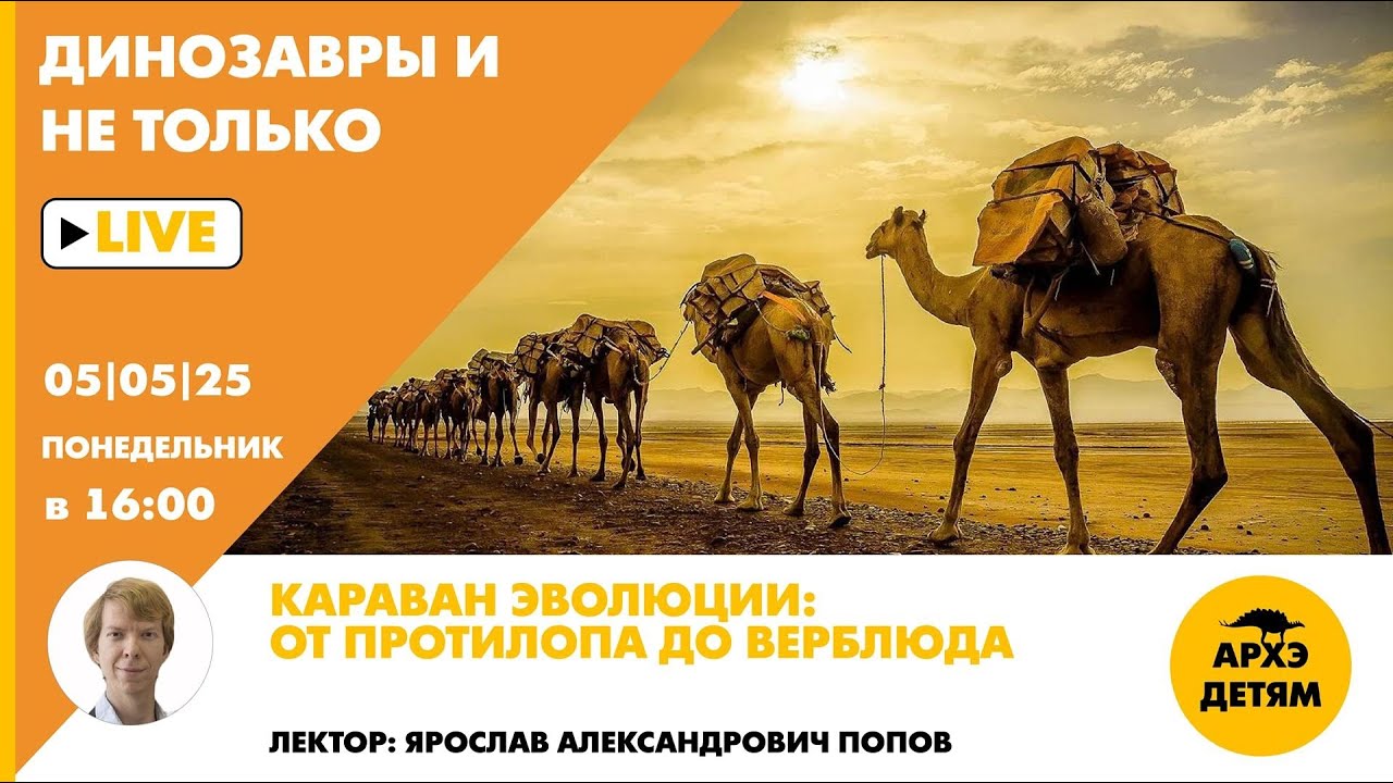 Занятие 
