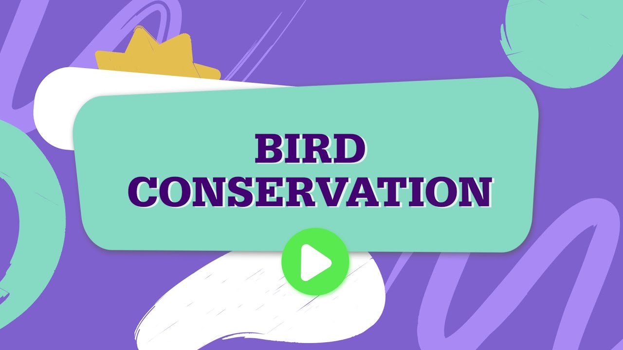 Thailand | BTC Japan 2025 |  Bird Conservation