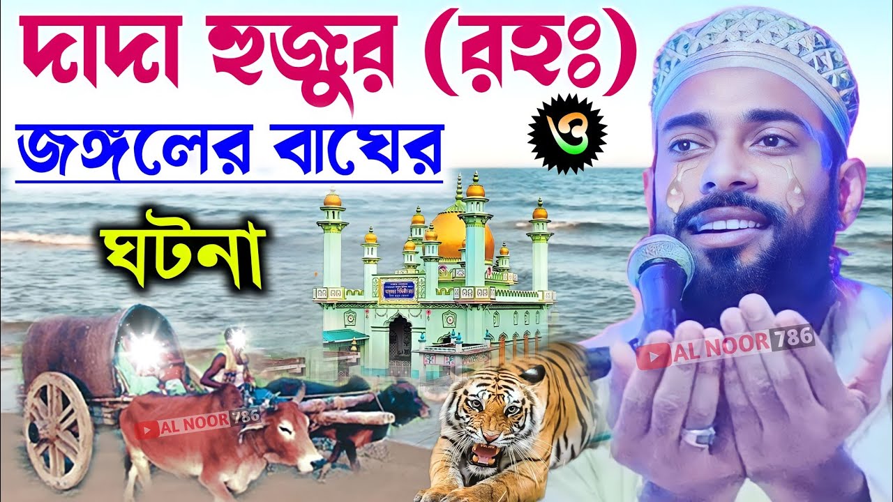 দাদা হুজুর ও জঙ্গলের বাঘের ঘটনা┇পীরজাদা সানাউল্লাহ সিদ্দিকী┇Sanaullah Siddiqui waz┇Bangla waz gojol