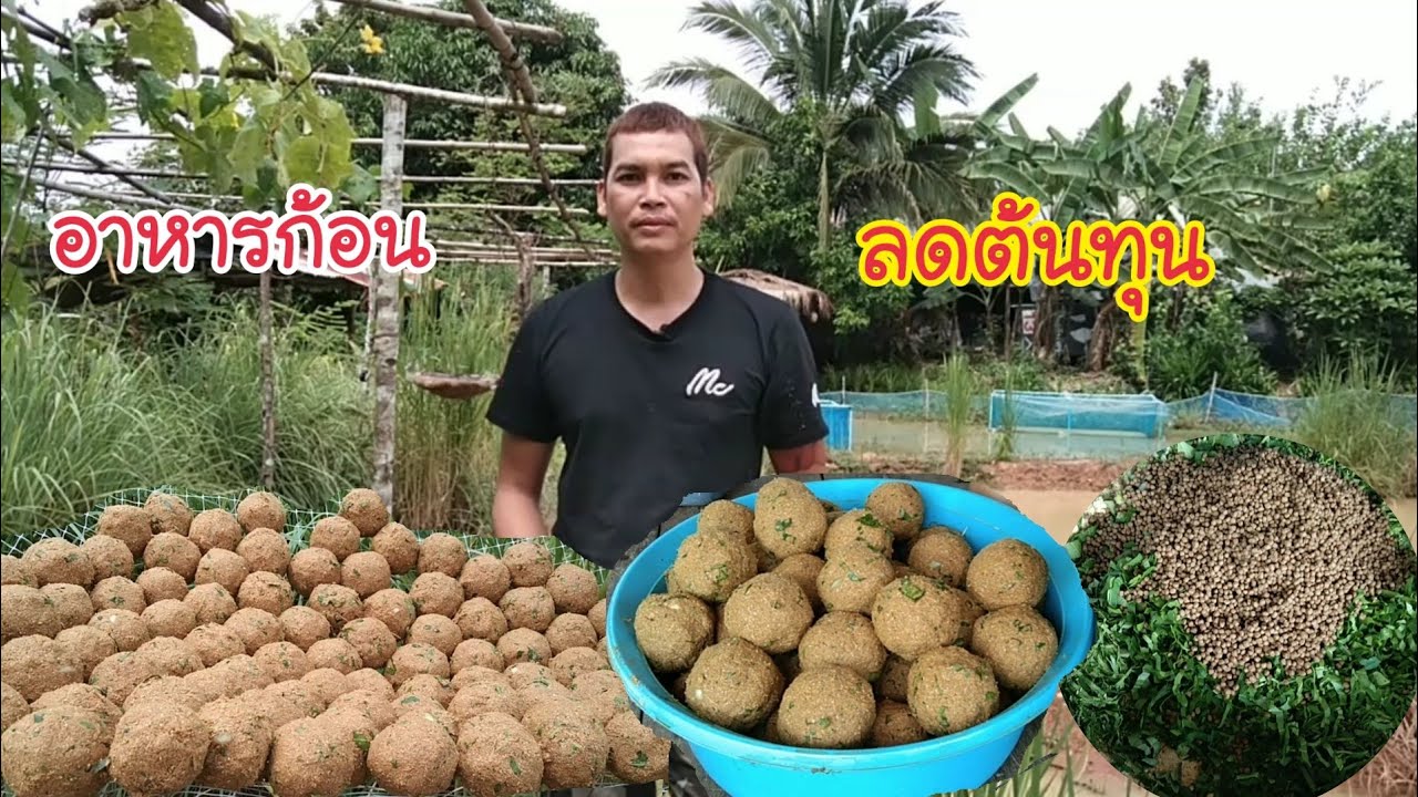 สูตรอาหารปลาทำเองอาหารก้อนลดต้นทุนปลากินดีลดต้นทุนได้เยอะมาก|กบปลาพารวย