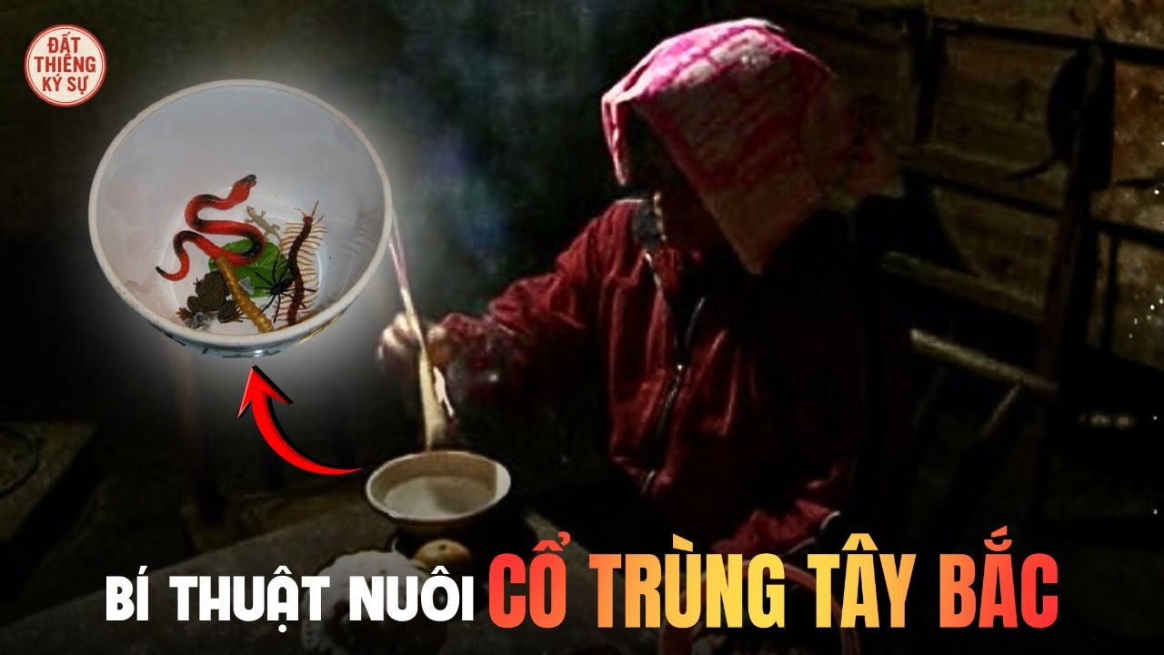 Bí Thuật Nuôi Cổ Trùng Của Người Mông - Những Bí Mật Người Trong Bản Không Dám Nói