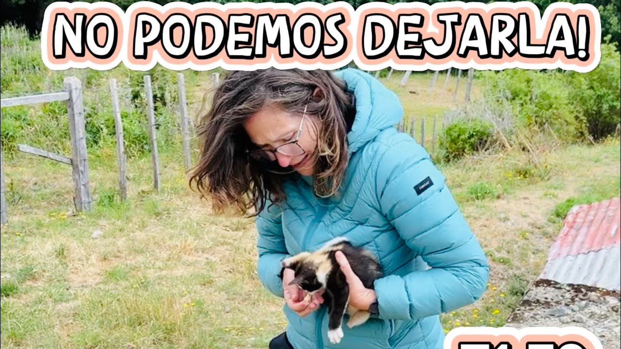 Carretera Austral Chile - Coyhaique - Temporada 1 Episodio 9 