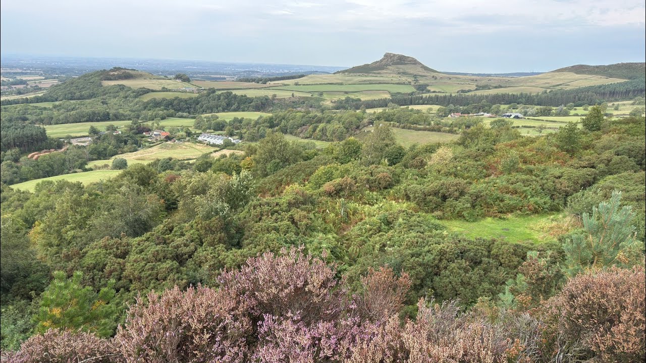Walk from Guisbrough woods to captain cooks monument 