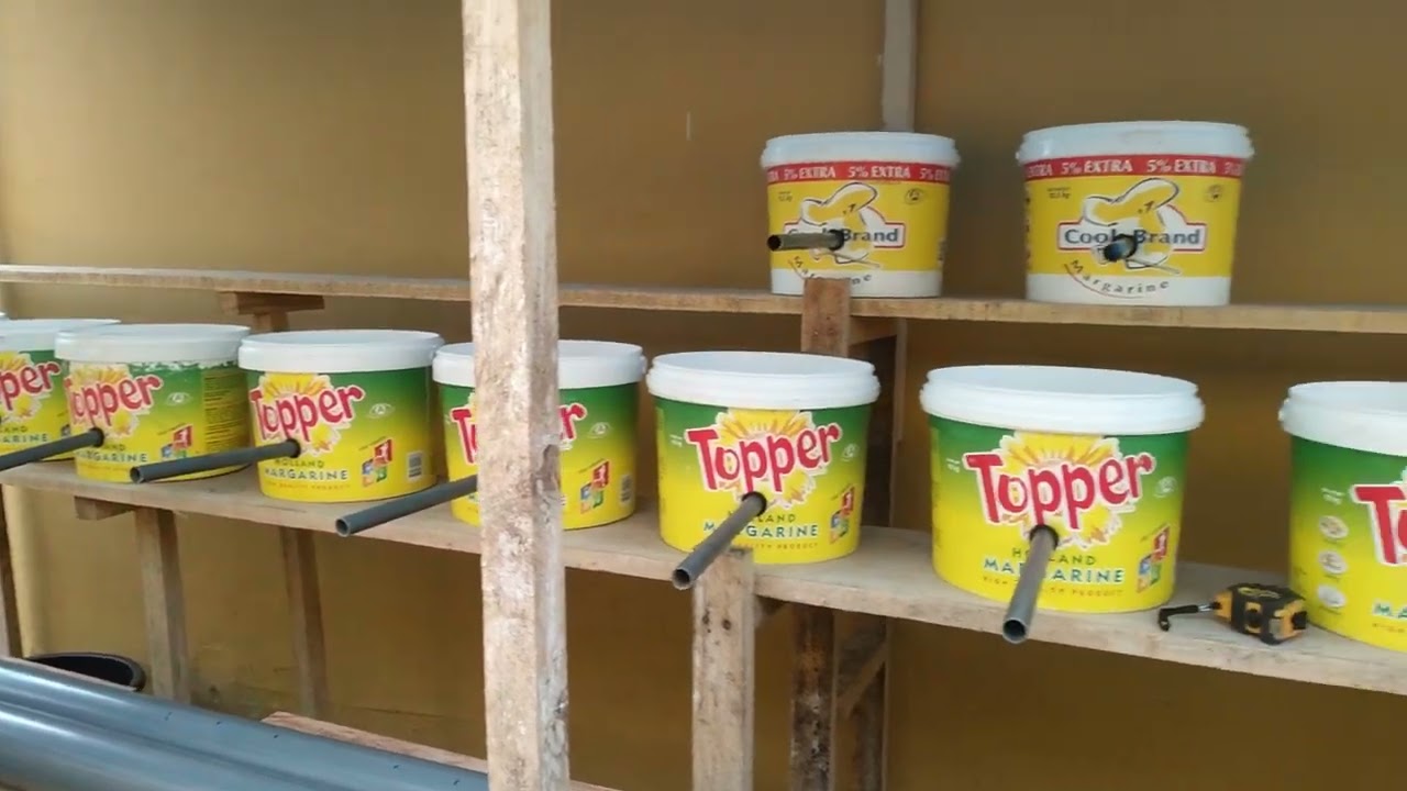 Aquaponics System Dutch Bucket Setup