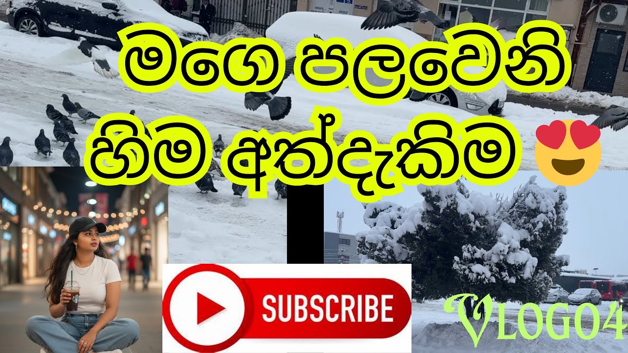 මගෙ පලවෙනි හිම අත්දැකිම 😍😍 ලස්සනය් ගොඩක් . එත් සිතල වැඩි🥲🥲