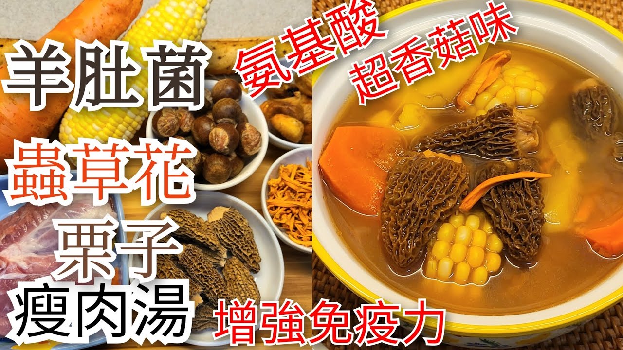 【羊肚菌 蟲草花 栗子 瘦肉 湯】秋冬靚湯食療 | 豐富氨基酸 | 增強免疫力 | 補肝益肺 | 降三高 | 超香菇味濃郁