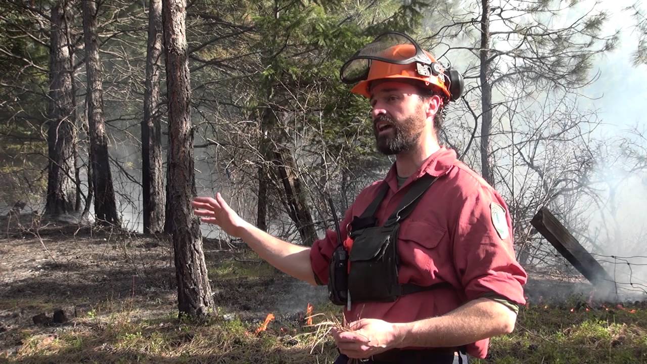 Prescribed burning in action