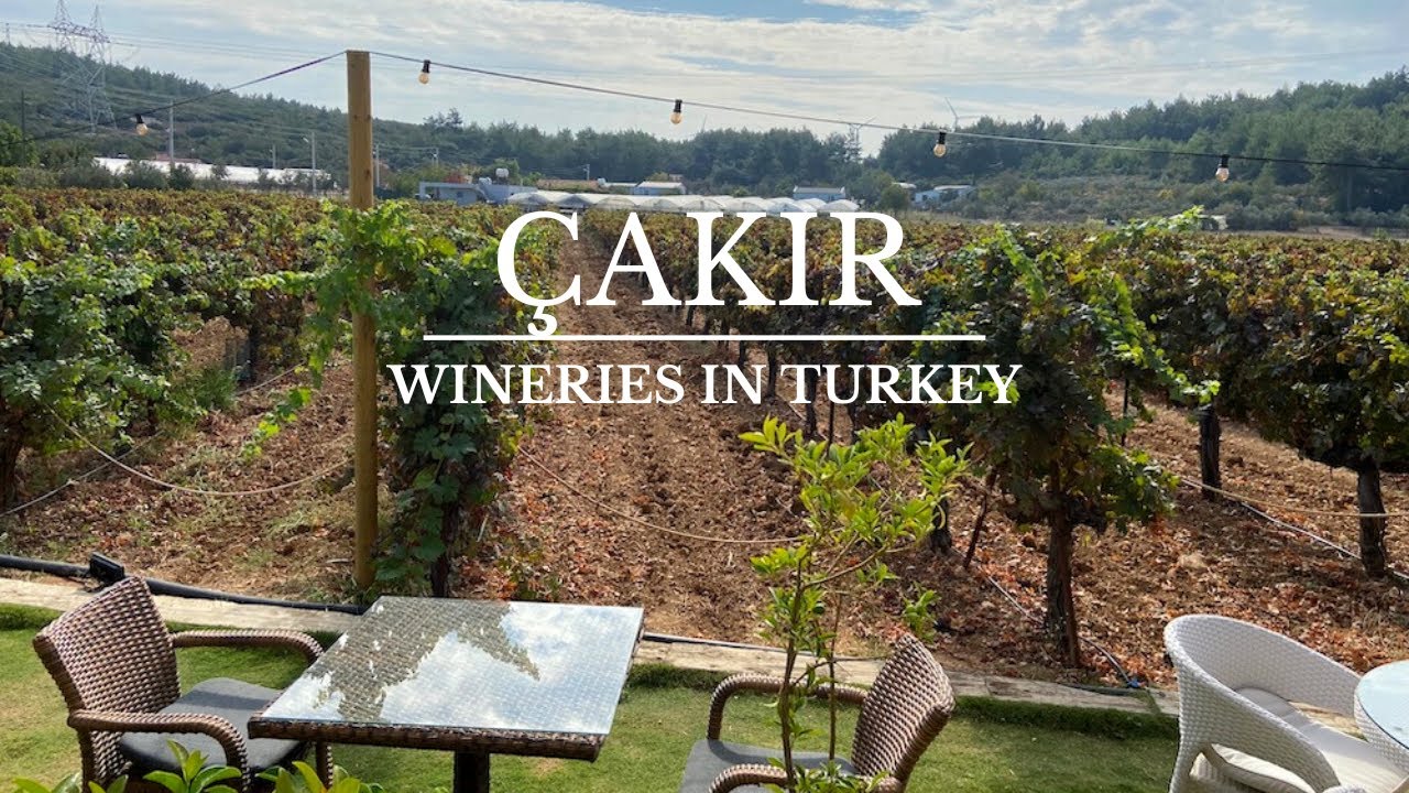 Wineries in Turkey: Cakir