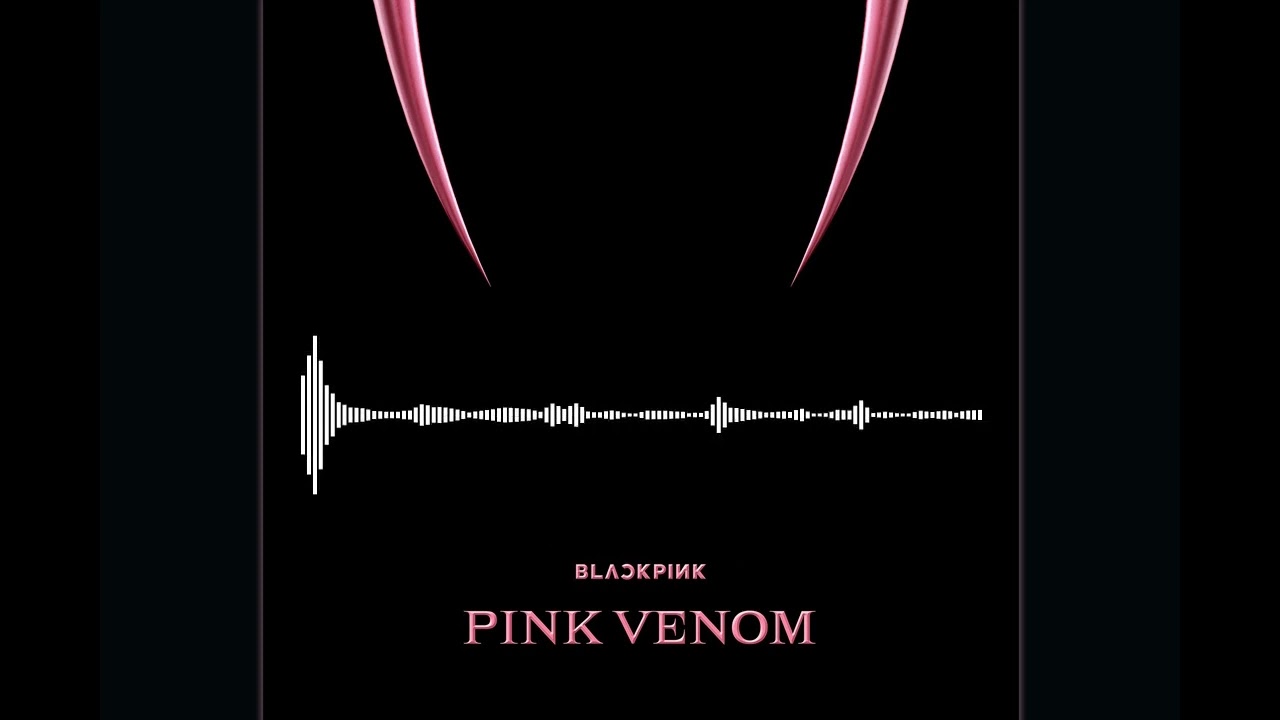 BLACKPINK - PINK VENOM | MALE VERSION