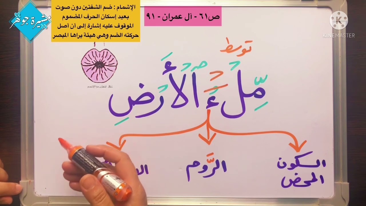 (١٤مكرر)مقطع خاص بالوقف على كلمة (مِلْءُ ) بالسكون المحض الروم والإشمام #سورة_آل_عمران  #الاية ٩١