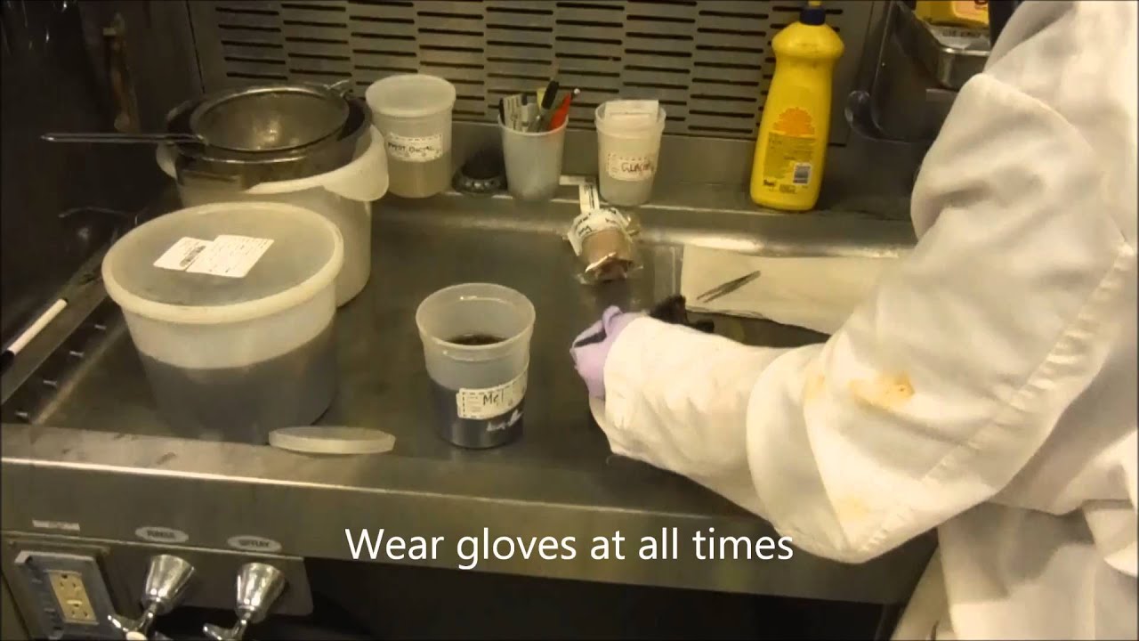Submitting Large Tissue Samples