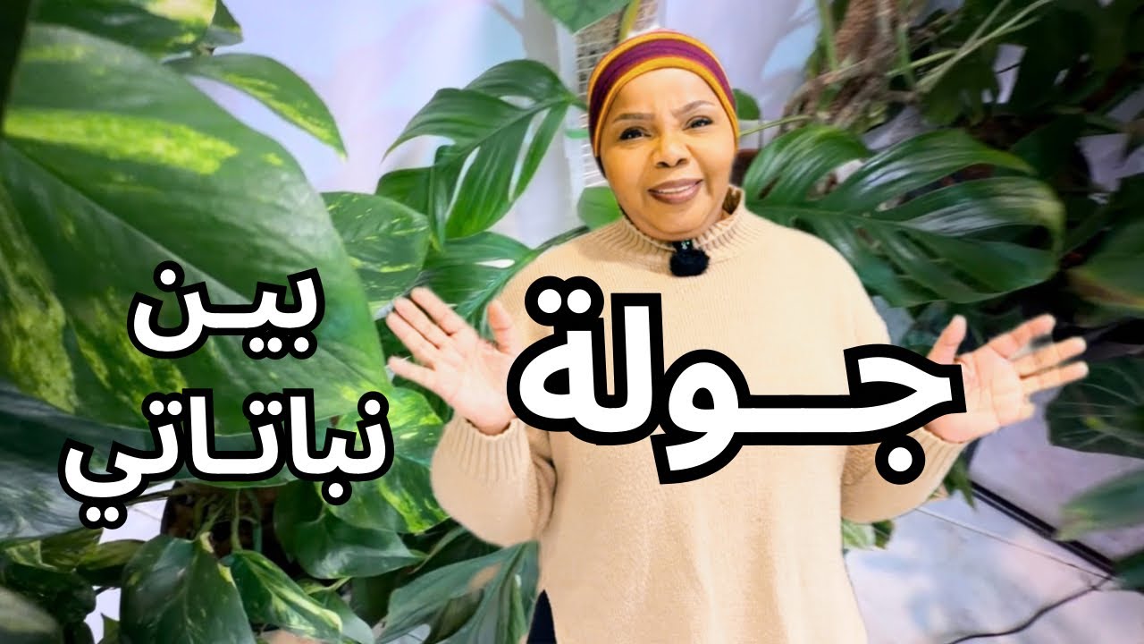 أول جولة في صالتي بين نباتاتي المنزلية
