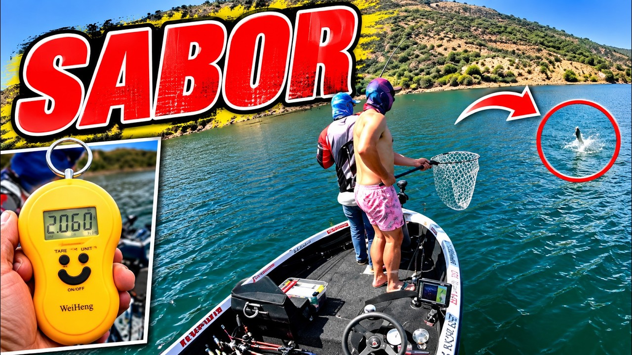 Pesca ao achigã na barragem do Sabor - Torre de Moncorvo