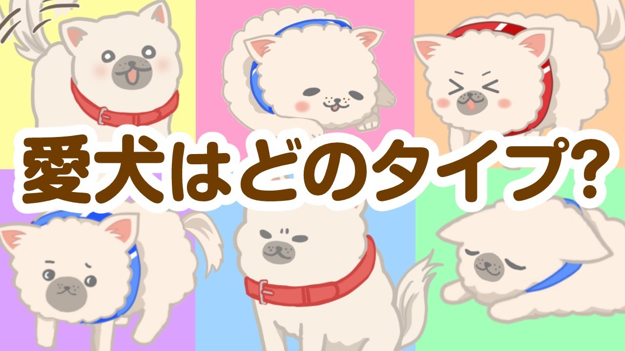 【キャラ診断】面白いほど当たる!?犬の6つの性格行動パターン