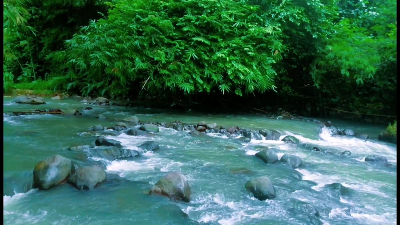 Tranquil River Ambience – Soft Stream and Forest Sounds for Deep Sleep and Inner Peace
