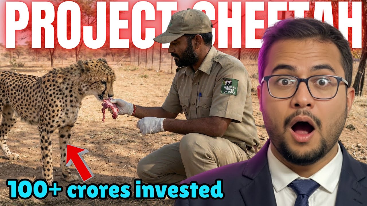 How PROJECT Cheetah Became a REALITY | All Financial MASTER Plan 