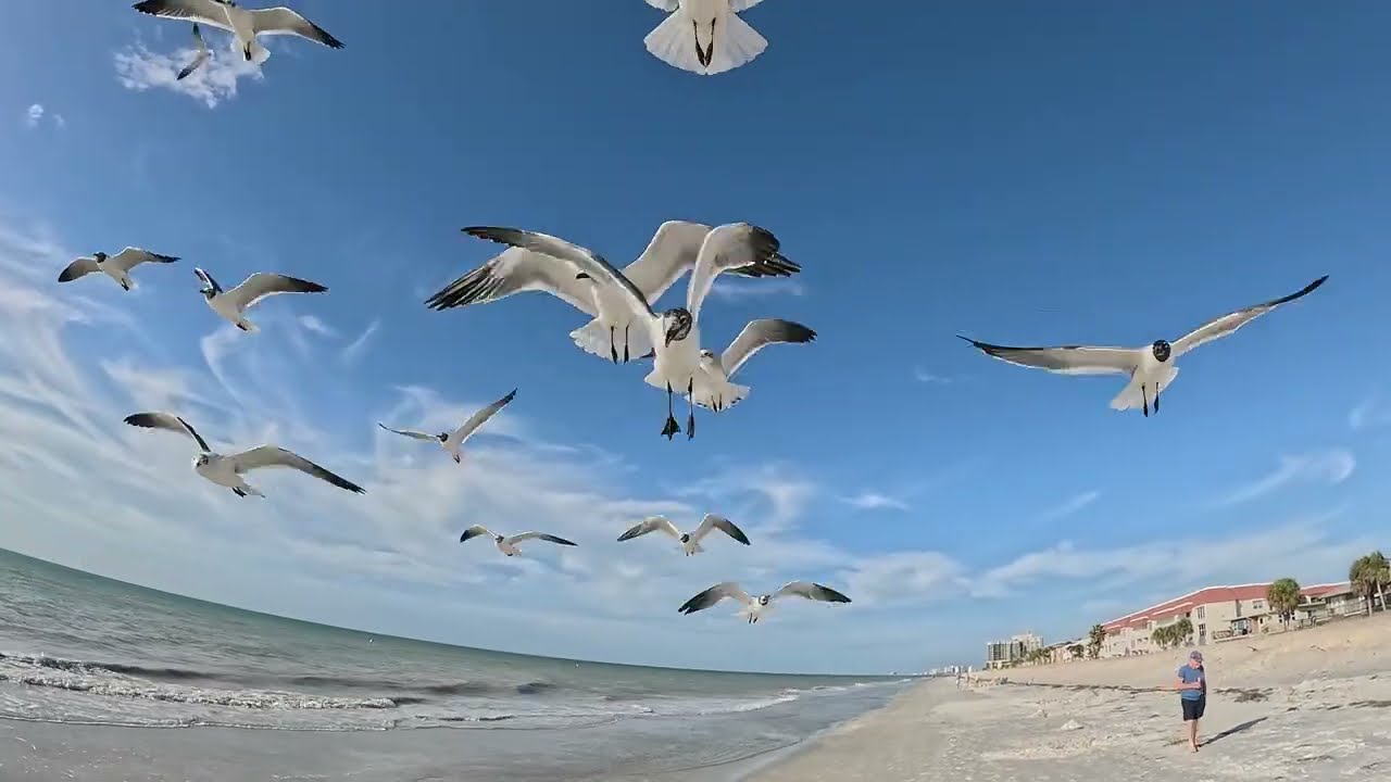 Caleb Hearn & ROSIE - Little Bit Better [Drone Video]
